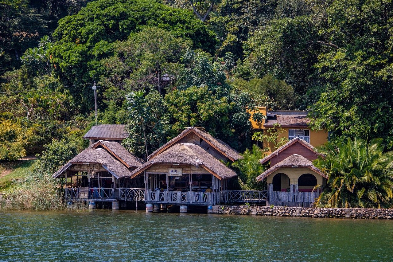découvrez la richesse et la biodiversité des forêts du congo, un écosystème vital pour la planète et un trésor naturel à protéger.