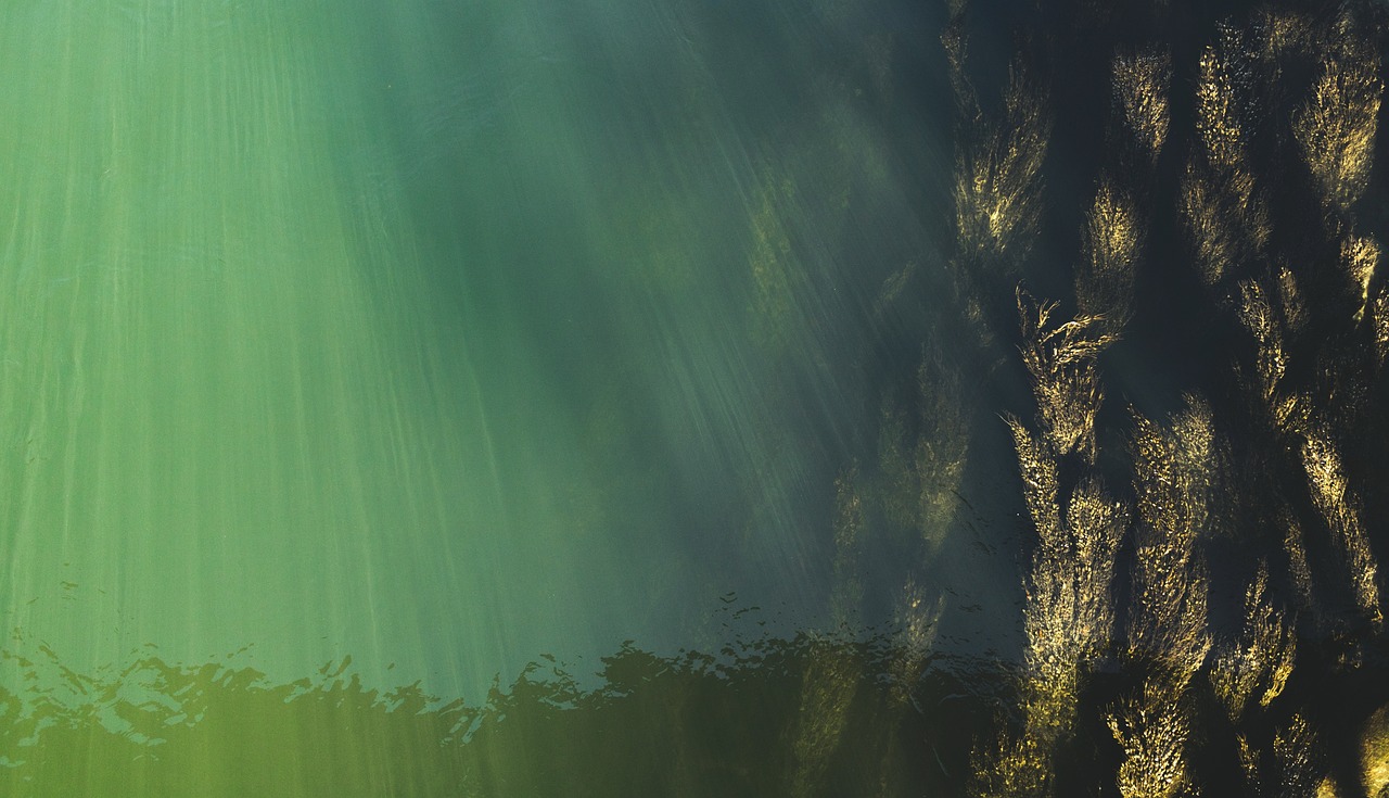 découvrez tout sur l'eau : ses propriétés, son importance vitale et ses utilisations au quotidien pour une meilleure compréhension et un usage responsable.