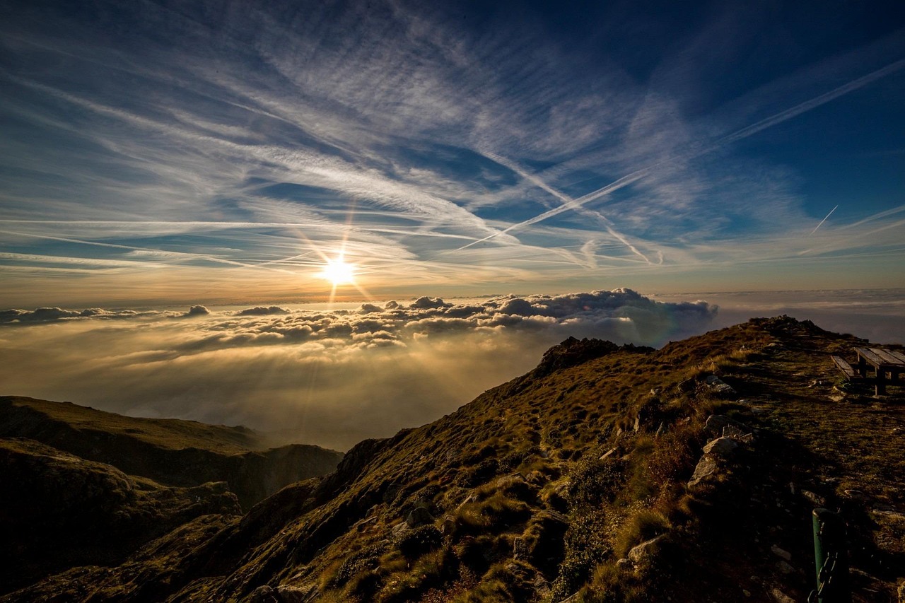 découvrez le one health summit, un événement international dédié à l'interconnexion entre la santé humaine, animale et environnementale pour un avenir plus sain et durable.