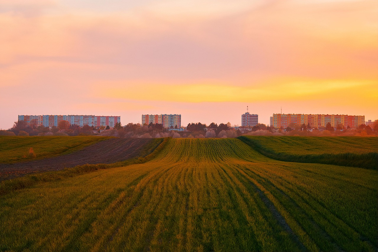 découvrez l'agriculture urbaine, une pratique innovante et écologique qui transforme les espaces urbains en jardins productifs. apprenez à cultiver vos propres aliments en ville, à bénéficier des avantages d'une alimentation locale et à contribuer à la durabilité de votre environnement. explorez les techniques, conseils et inspirations pour devenir acteur de cette révolution verte.