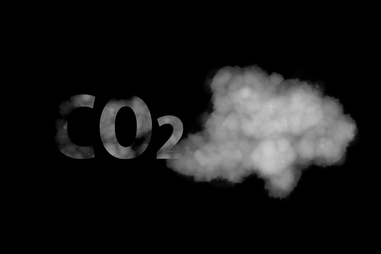 découvrez les causes, impacts et solutions du changement climatique pour protéger notre planète et assurer un avenir durable.