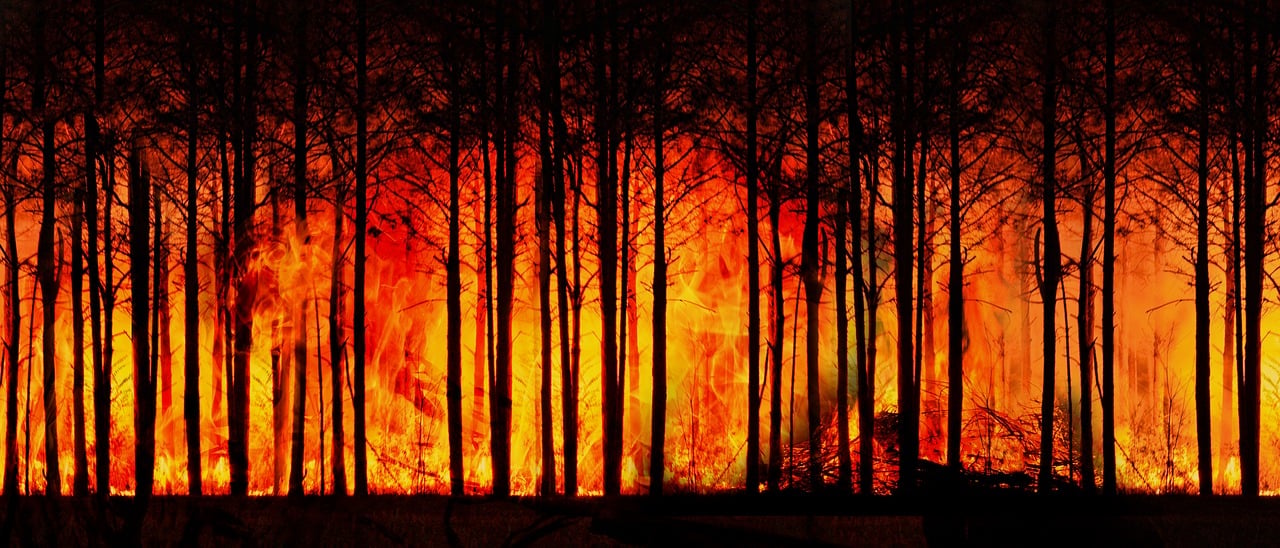 découvrez les enjeux cruciaux du changement climatique, ses impacts sur notre planète, et les solutions pour atténuer ses effets. informez-vous sur les actions à mener pour préserver notre environnement et construire un avenir durable.
