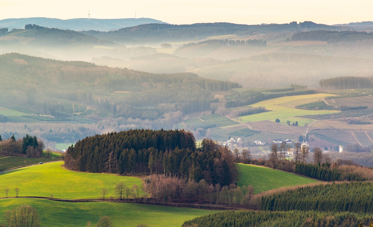 découvrez l'importance de l'environnement et comment protéger notre planète. explorez les enjeux écologiques, les initiatives durables et les actions que chacun peut entreprendre pour un avenir meilleur.