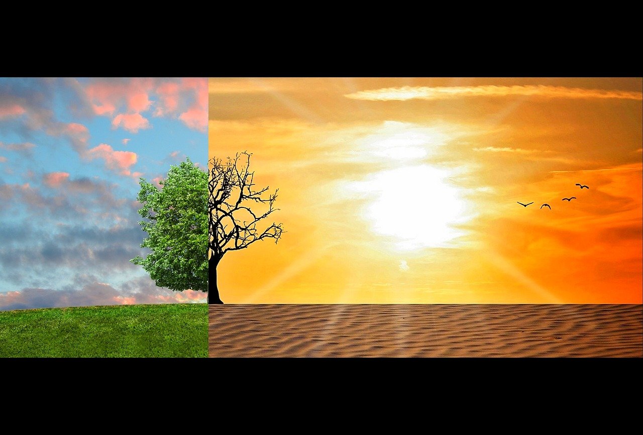 découvrez comment le changement climatique affecte notre planète, les causes derrière ce phénomène mondial et les actions nécessaires pour lutter contre ses conséquences néfastes. informez-vous sur les solutions durables et mobilisez-vous pour un avenir meilleur.