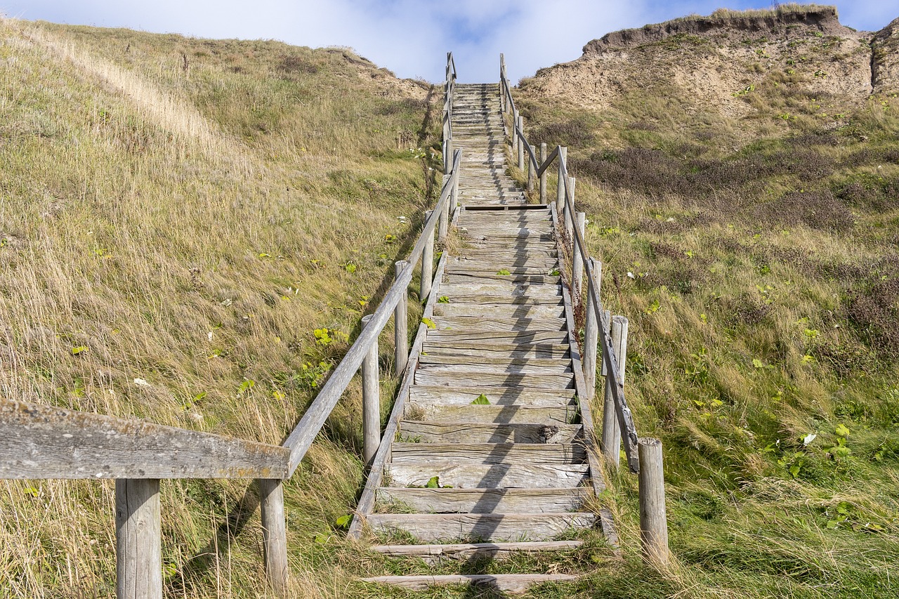 découvrez comment le danemark s'adapte aux changements climatiques grâce à des initiatives innovantes et durables. explorez les stratégies mises en place pour renforcer la résilience des villes, préserver la biodiversité et garantir un avenir durable.