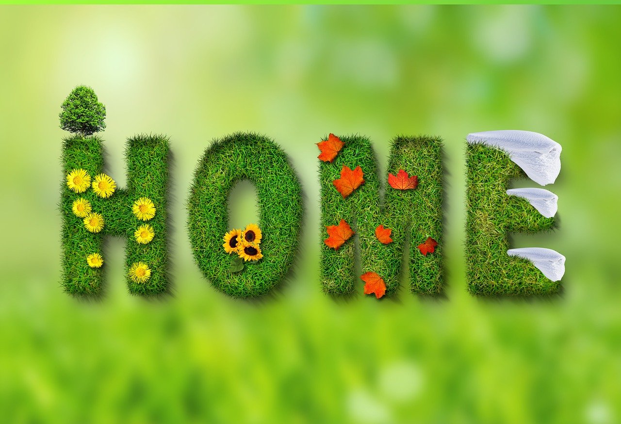 découvrez des informations approfondies sur l'écologie, ses enjeux environnementaux, et comment protéger notre planète pour un avenir durable.