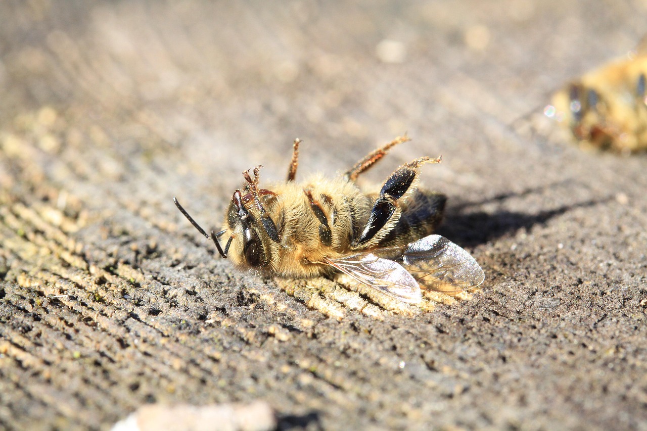 découvrez tout sur les pesticides synthétiques : définition, utilisations, impacts sur l'environnement et la santé, ainsi que les alternatives écologiques disponibles.
