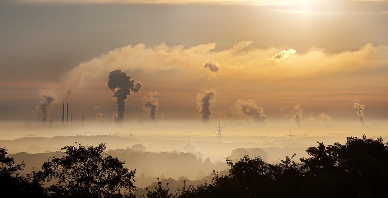 découvrez les causes, impacts et solutions pour lutter contre la pollution et préserver notre environnement pour les générations futures.