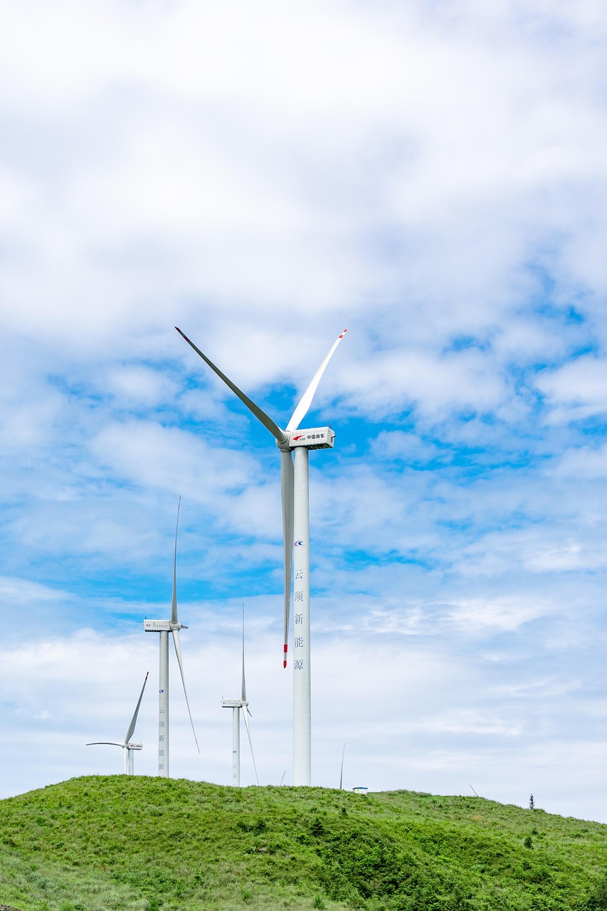 restez informé des dernières actualités environnementales avec notre sélection d'articles sur la biodiversité, le changement climatique et les initiatives écologiques. découvrez des analyses, des conseils et des solutions pour protéger notre planète.