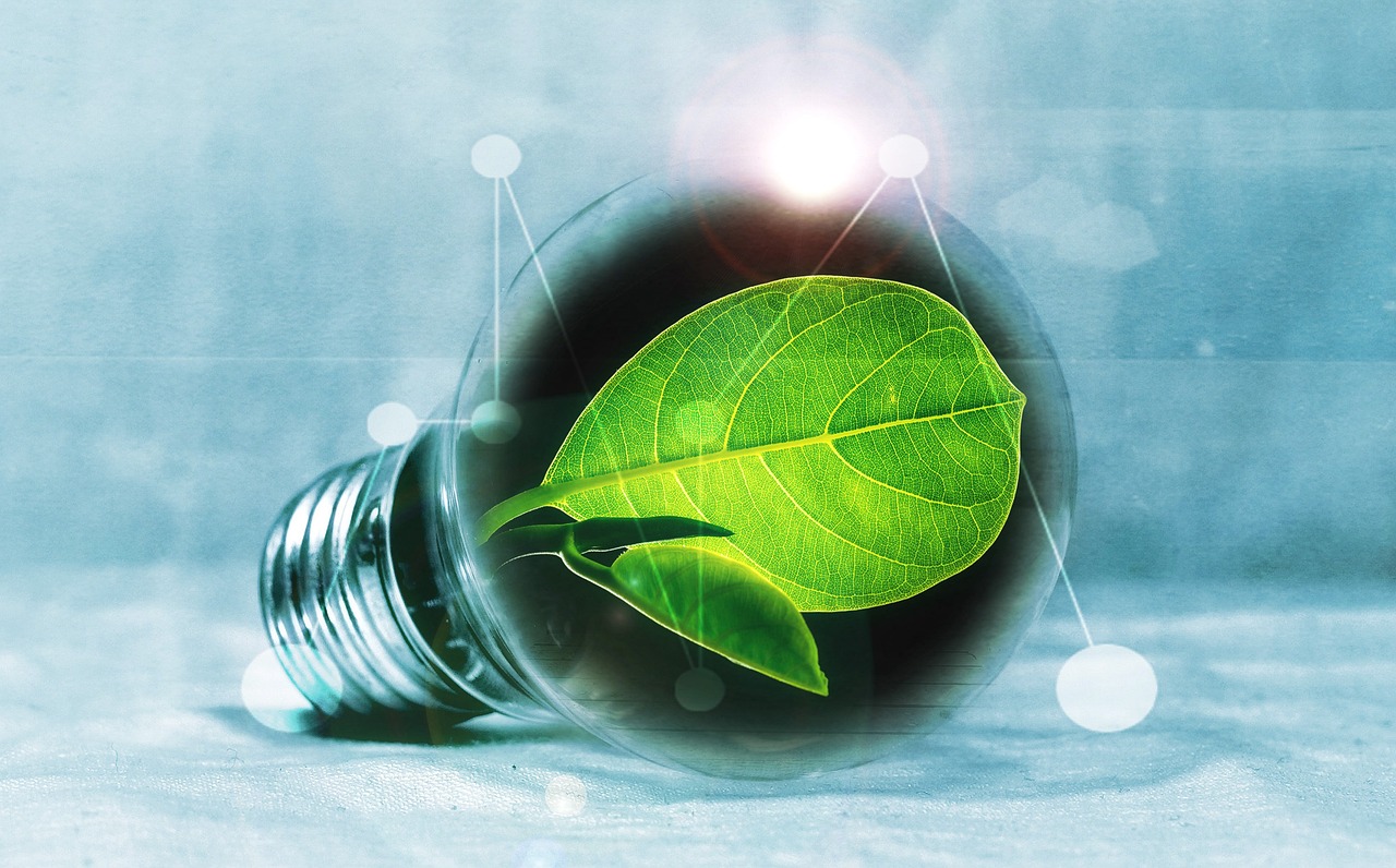 découvrez les enjeux et solutions de la transition énergétique pour un avenir durable et respectueux de l'environnement.
