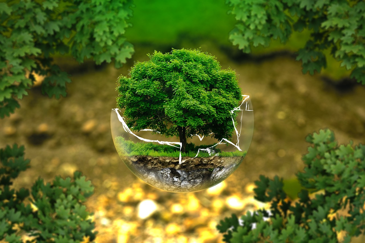 découvrez comment les politiques environnementales influencent notre avenir. explorez des initiatives visant à protéger notre planète, réduire les émissions de carbone et promouvoir la durabilité pour un monde meilleur.