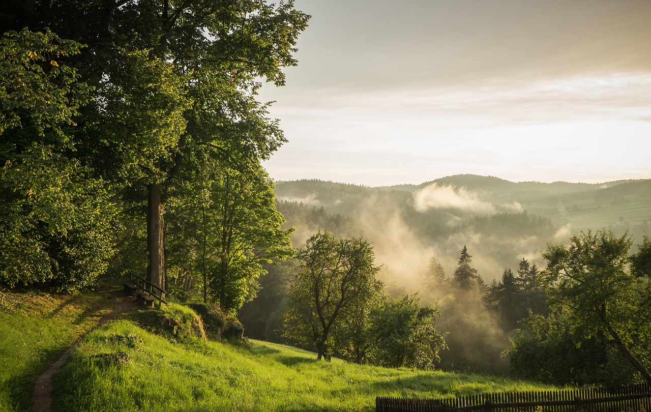 découvrez l'autriche, pays de montagnes majestueuses, de culture riche et de patrimoine historique fascinant. explorez ses villes pittoresques, ses paysages alpins et sa gastronomie authentique.