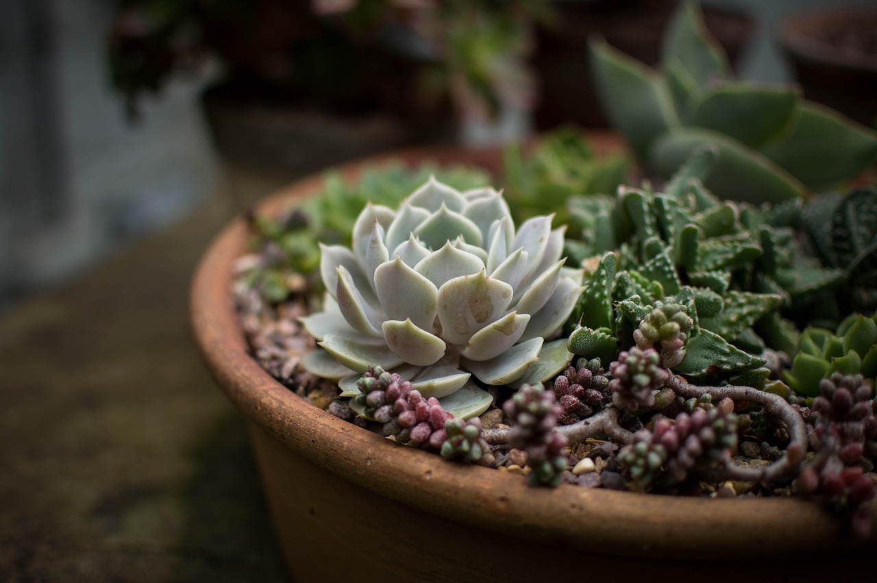 découvrez comment la méthanisation contribue à la transition écologique en valorisant les déchets organiques pour produire une énergie renouvelable et durable.