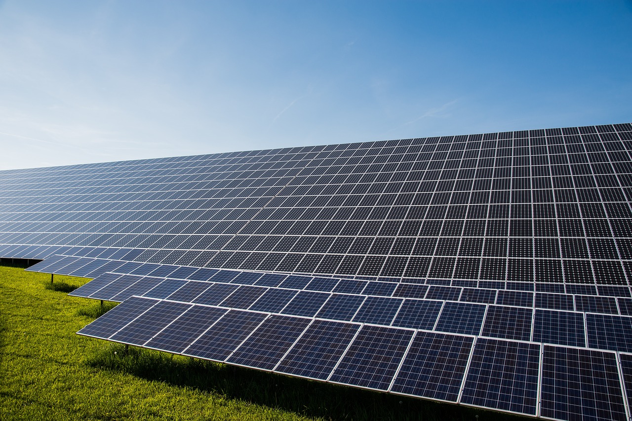 découvrez les enjeux et solutions de la transition écologique pour un avenir durable, alliant protection de l'environnement et développement responsable.