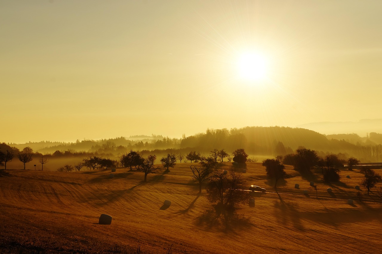 découvrez tout ce qu'il faut savoir sur le terme « sunny » : significations, usages, et conseils pour bien l'utiliser au quotidien. idéal pour enrichir votre vocabulaire anglais !