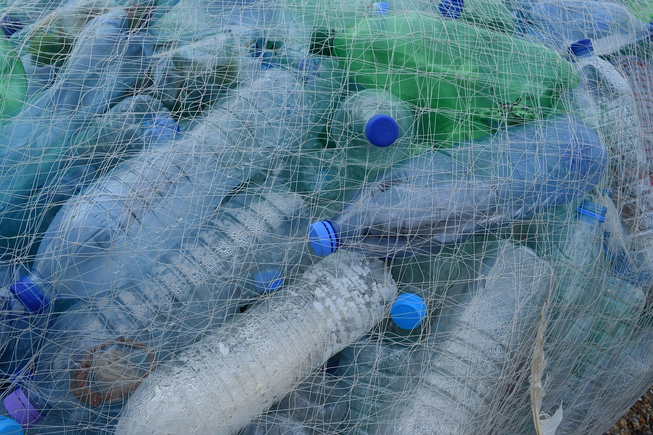 découvrez l'importance de la sensibilisation à l'environnement et comment adopter des pratiques durables pour protéger notre planète.
