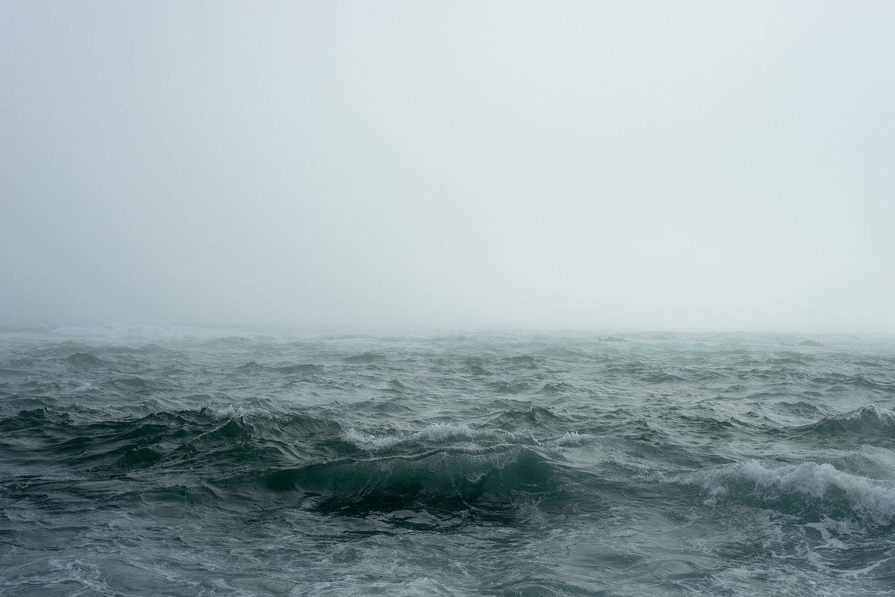 découvrez les merveilles de l'océan, un monde fascinant rempli de biodiversité, de paysages sous-marins époustouflants et d'aventures maritimes. explorez la vie marine et apprenez comment protéger cet écosystème vital pour notre planète.