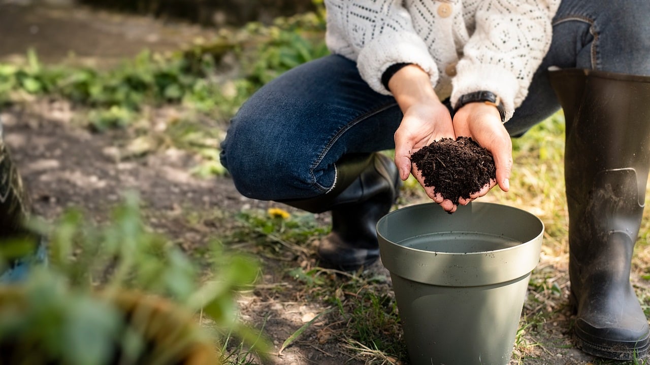 adoptez un mode de vie durable en découvrant des conseils, astuces et solutions écologiques pour réduire votre impact environnemental et vivre de manière plus responsable au quotidien.