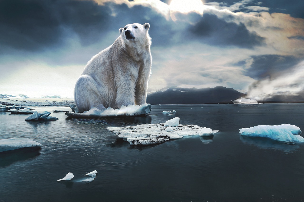 découvrez les enjeux du climat, l'impact du changement climatique et les solutions pour un avenir durable et respectueux de l'environnement.