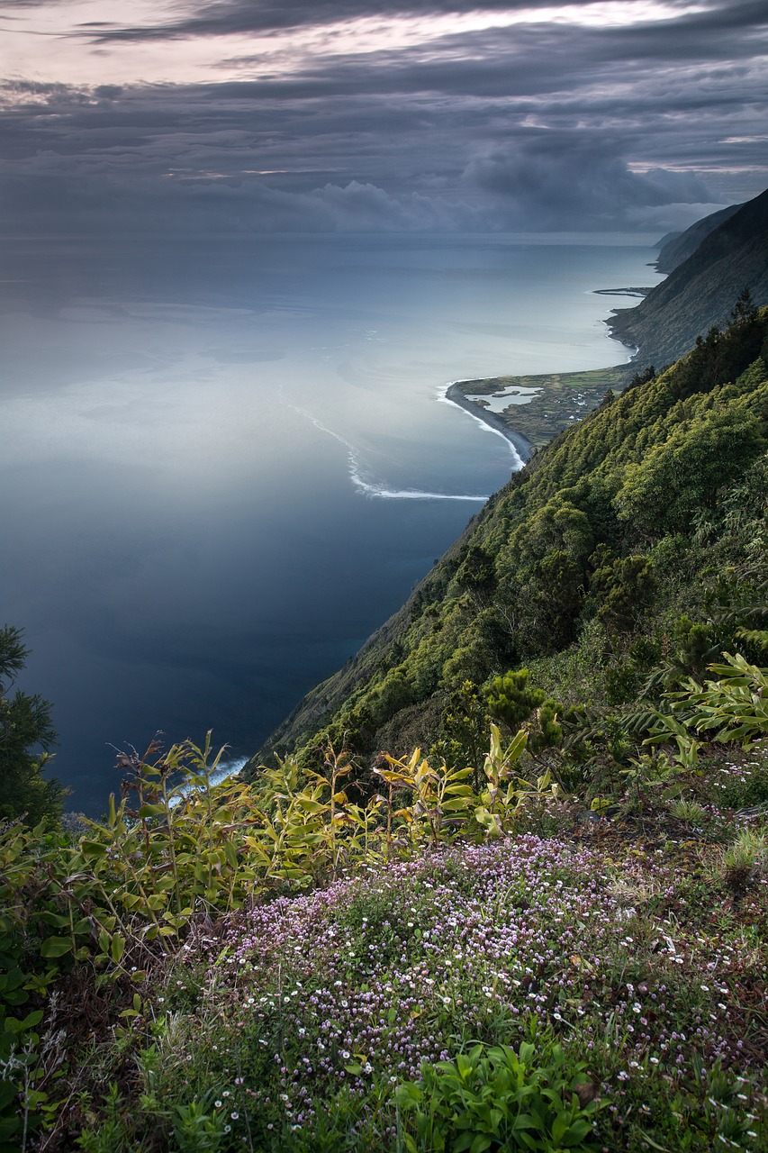 découvrez l'importance de la biodiversité, un équilibre essentiel pour la santé de notre planète. explorez les différentes espèces, leurs habitats et les menaces qui pèsent sur elles, ainsi que les solutions pour préserver notre écosystème.