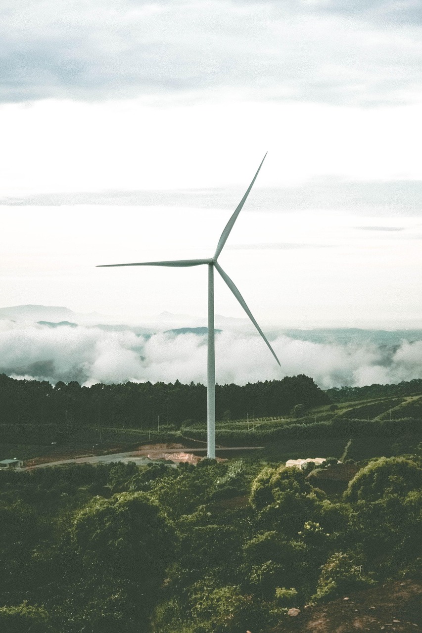 découvrez les énergies marines renouvelables, une source d'énergie propre et durable issue des océans pour un avenir énergétique respectueux de l'environnement.