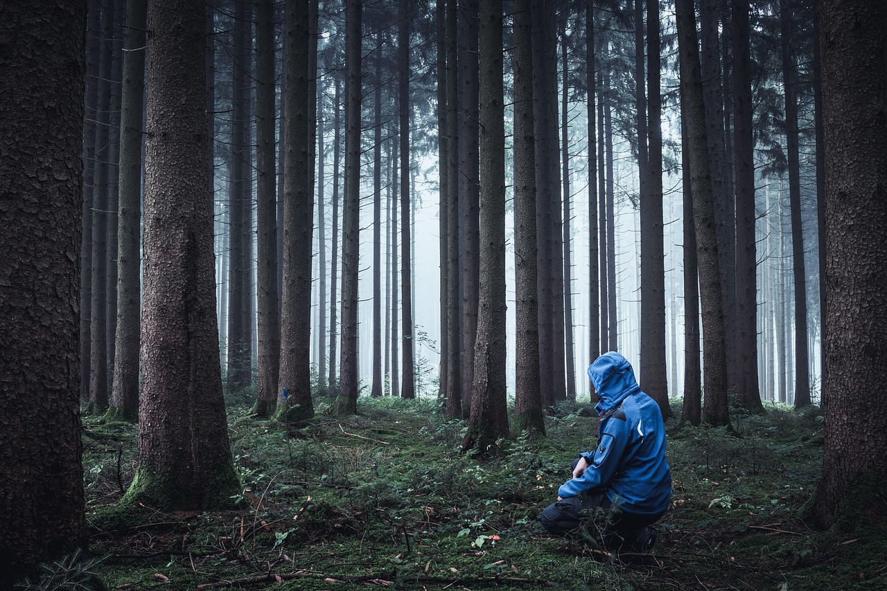 découvrez les meilleures astuces et conseils pour survivre dans des situations extrêmes. apprenez les techniques essentielles de survie, d’orientation et de gestion des ressources pour faire face à toutes les épreuves.