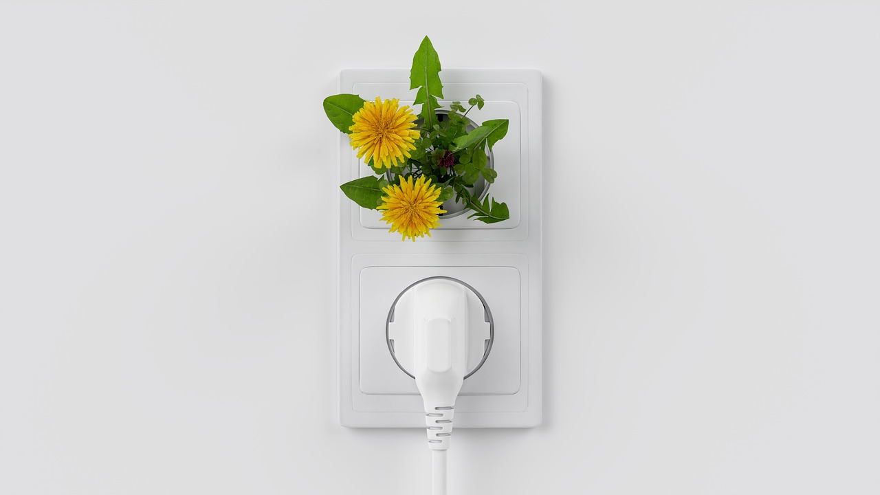 découvrez les enjeux et solutions de la transition écologique pour un avenir durable et respectueux de l’environnement.