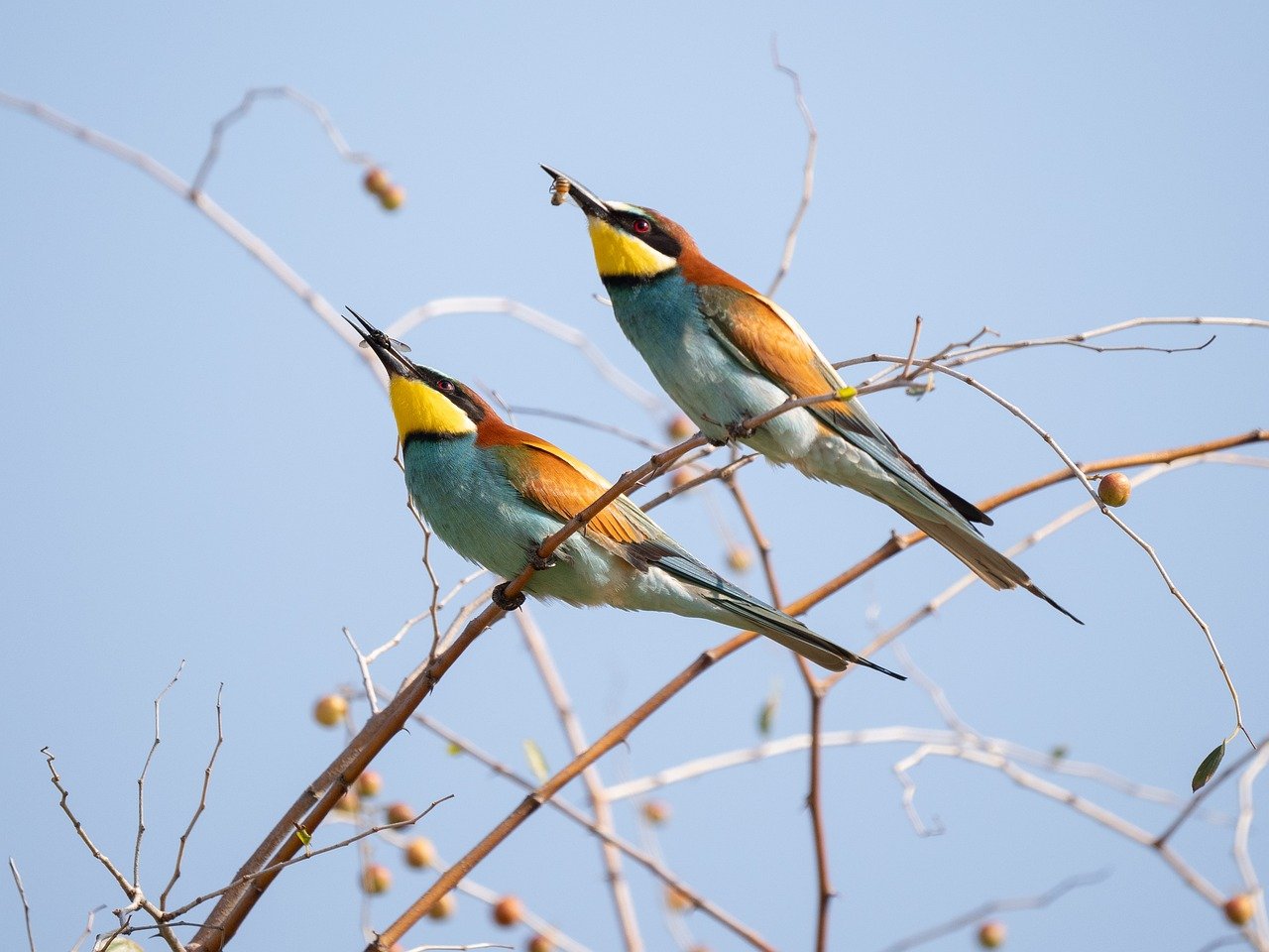découvrez l'écologie, une science essentielle qui étudie les interactions entre les êtres vivants et leur environnement. apprenez-en plus sur la biodiversité, la conservation, et comment nous pouvons tous contribuer à un avenir durable.