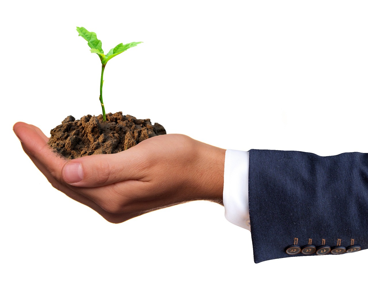 découvrez comment adopter des pratiques durables et responsables pour développer votre entreprise tout en respectant l'environnement et la société.