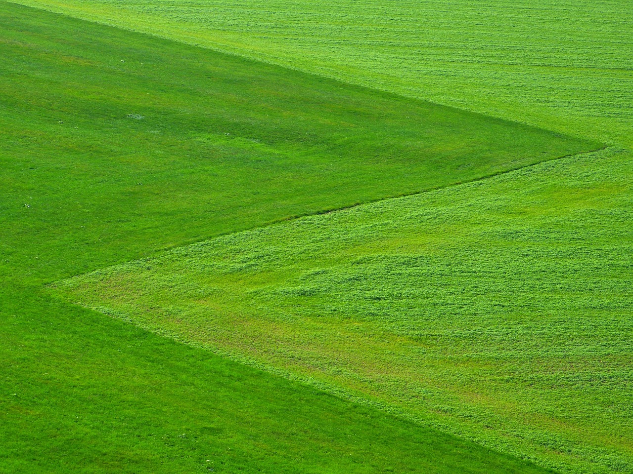 découvrez comment les subventions écologiques peuvent soutenir vos projets durables et favoriser la transition vers une économie verte. explorez les avantages des aides financières pour promouvoir l'innovation et la protection de l'environnement.