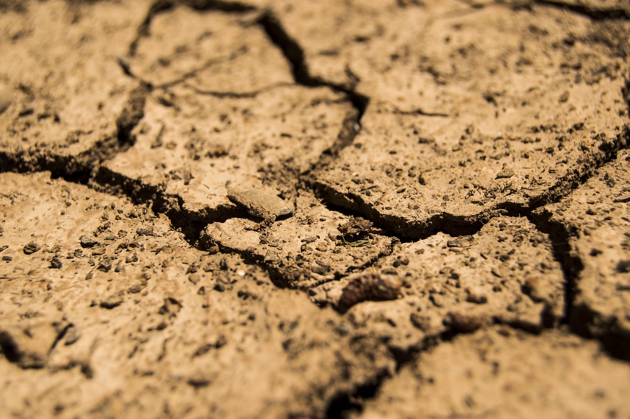 découvrez les enjeux de la pollution des sols, ses causes, ses conséquences sur l'environnement et la santé, ainsi que des solutions durables pour préserver notre terre.