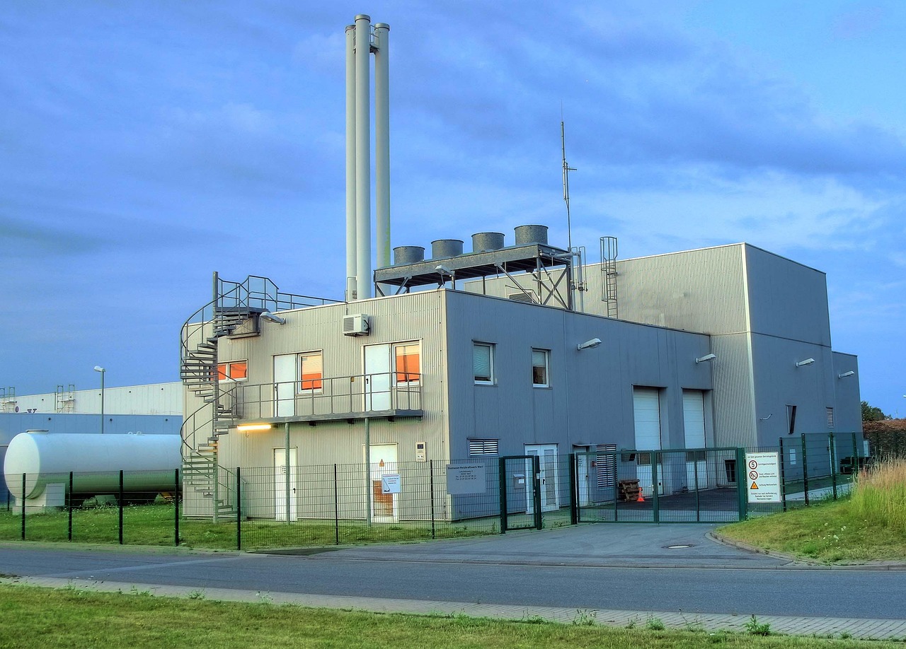 découvrez la biomasse, une source d'énergie renouvelable essentielle, issue de matières organiques. apprenez comment elle contribue à la transition énergétique, réduit les émissions de carbone et favorise un développement durable à travers ses différentes applications.