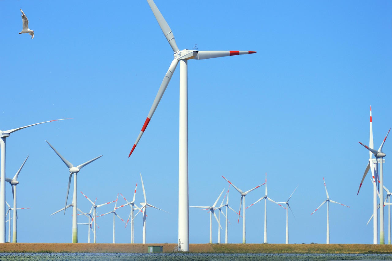 découvrez comment adopter une transition durable pour un avenir plus respectueux de l'environnement. conseils, bonnes pratiques et innovations pour réussir votre transformation écologique.
