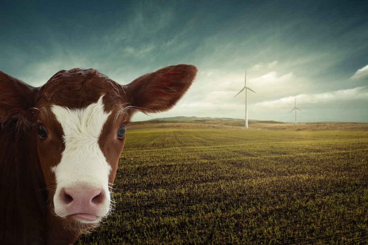 découvrez des ressources complètes sur le changement climatique pour mieux comprendre ses impacts, les solutions possibles et les actions à entreprendre.