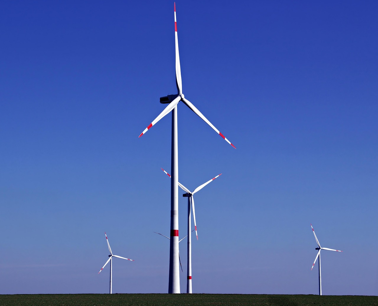découvrez les enjeux et solutions de la transition écologique pour un avenir durable et respectueux de l'environnement.