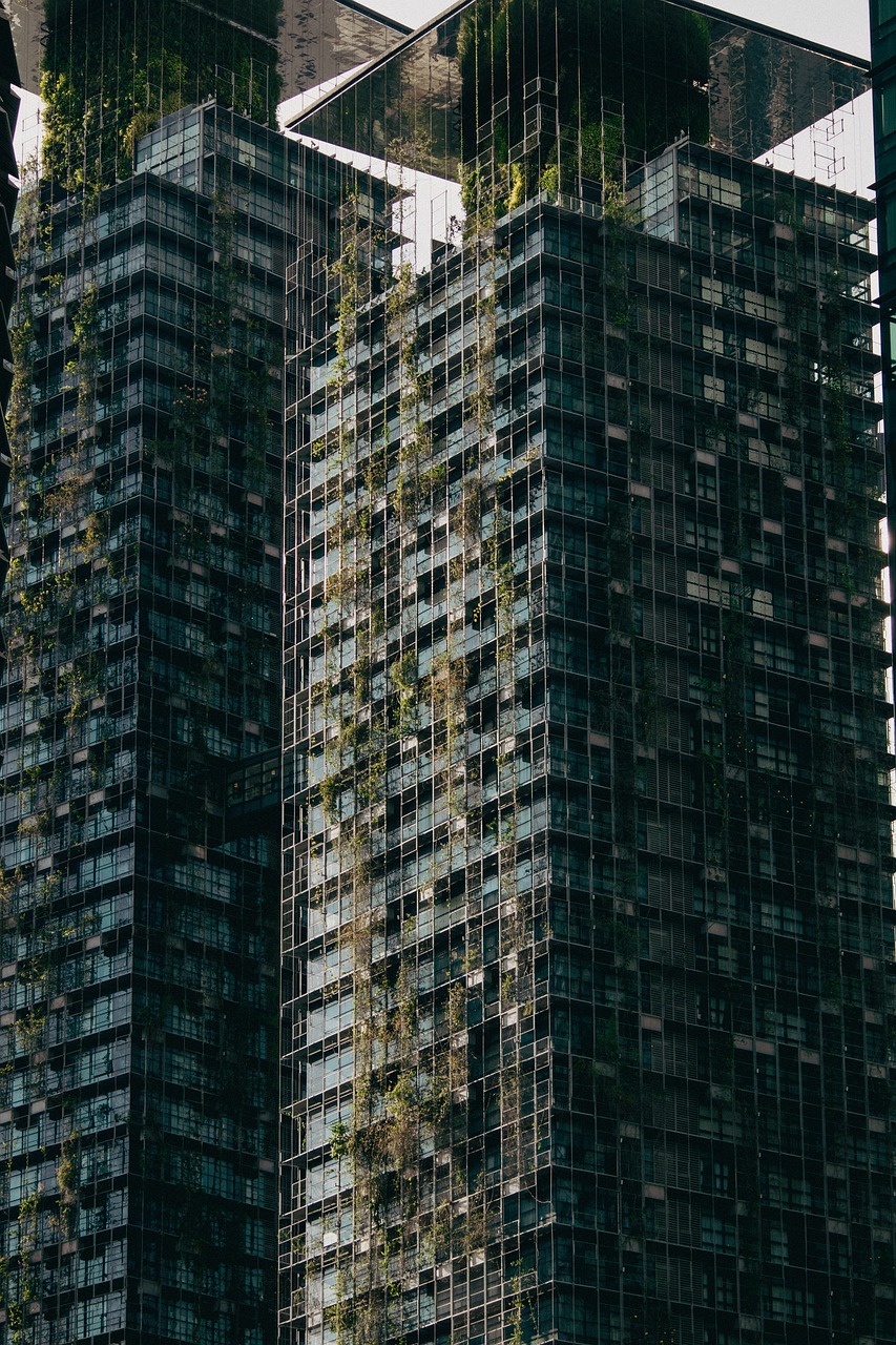 découvrez l'importance de la durabilité et comment des pratiques responsables peuvent préserver notre planète pour les générations futures. explorez des solutions innovantes et des conseils pratiques pour un mode de vie écoresponsable.