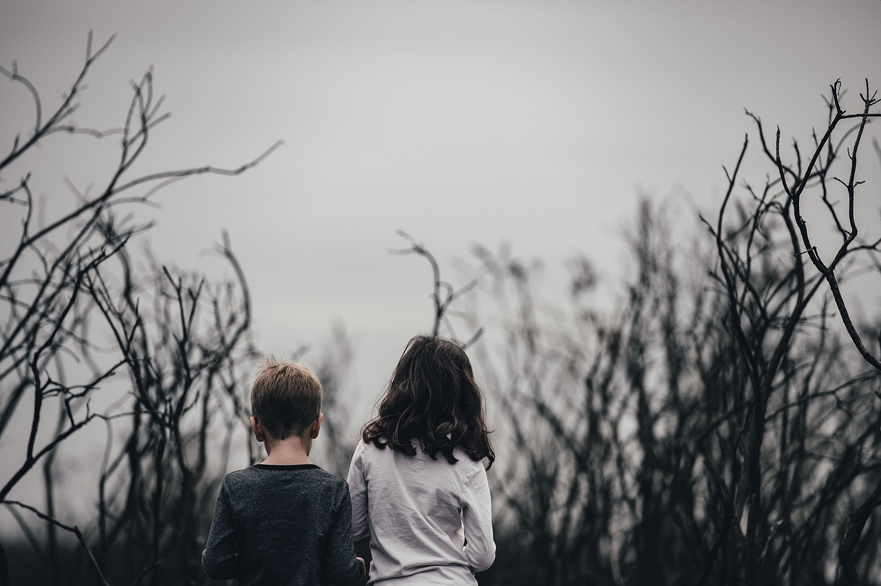 découvrez tout sur les arbres morts : leur rôle dans l’écosystème, leur impact sur la biodiversité et les conseils pour les gérer dans votre jardin ou en forêt.
