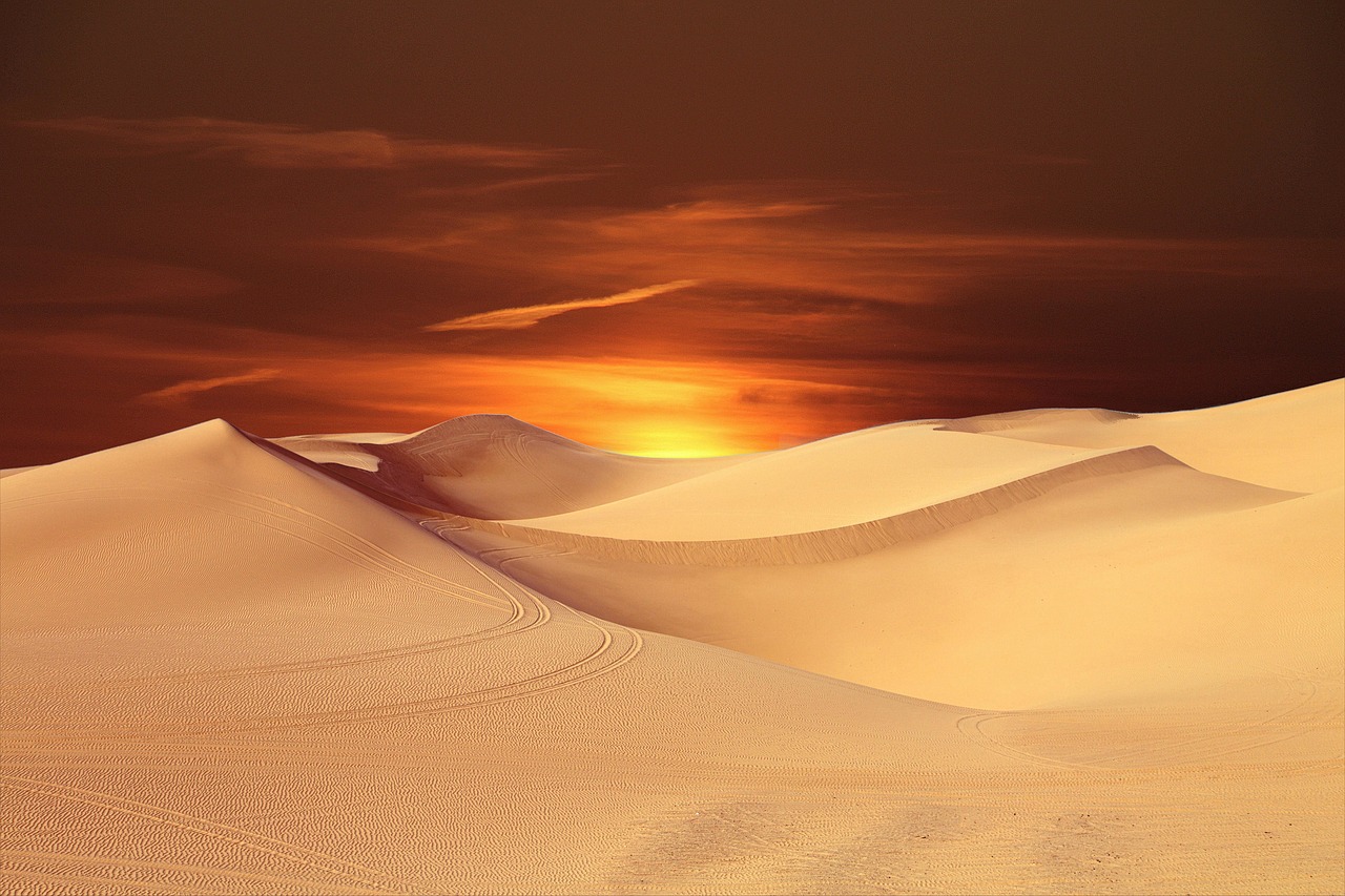 découvrez les techniques et solutions pour le renforcement des dunes, essentielles à la protection des côtes contre l'érosion et les effets du vent.