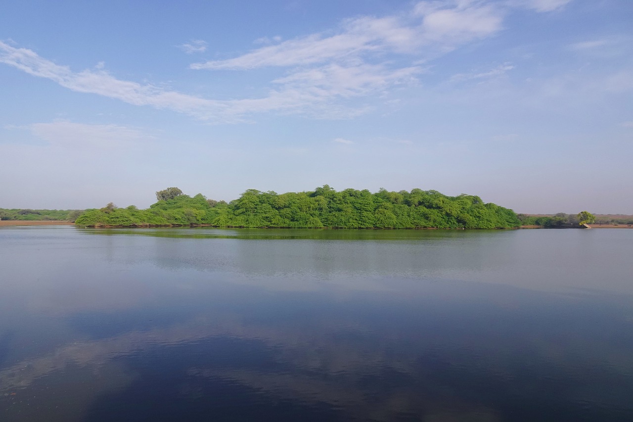 découvrez tout sur les plans d'eau naturels et artificiels : lacs, rivières, étangs et océans, leur importance écologique et leur beauté.