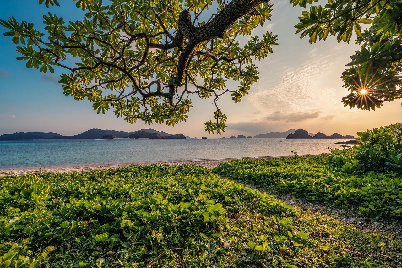 découvrez la beauté et la diversité de la nature : paysages, faune, flore, conseils écologiques et idées d’activités pour se connecter à l’environnement et préserver notre planète.