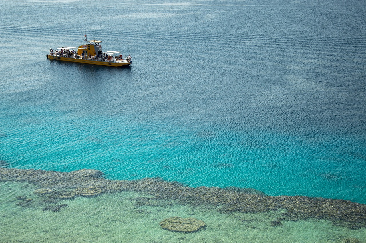 découvrez tout ce qu'il faut savoir sur el niño, ce phénomène climatique impactant le monde entier, ses causes, ses effets et ses conséquences.