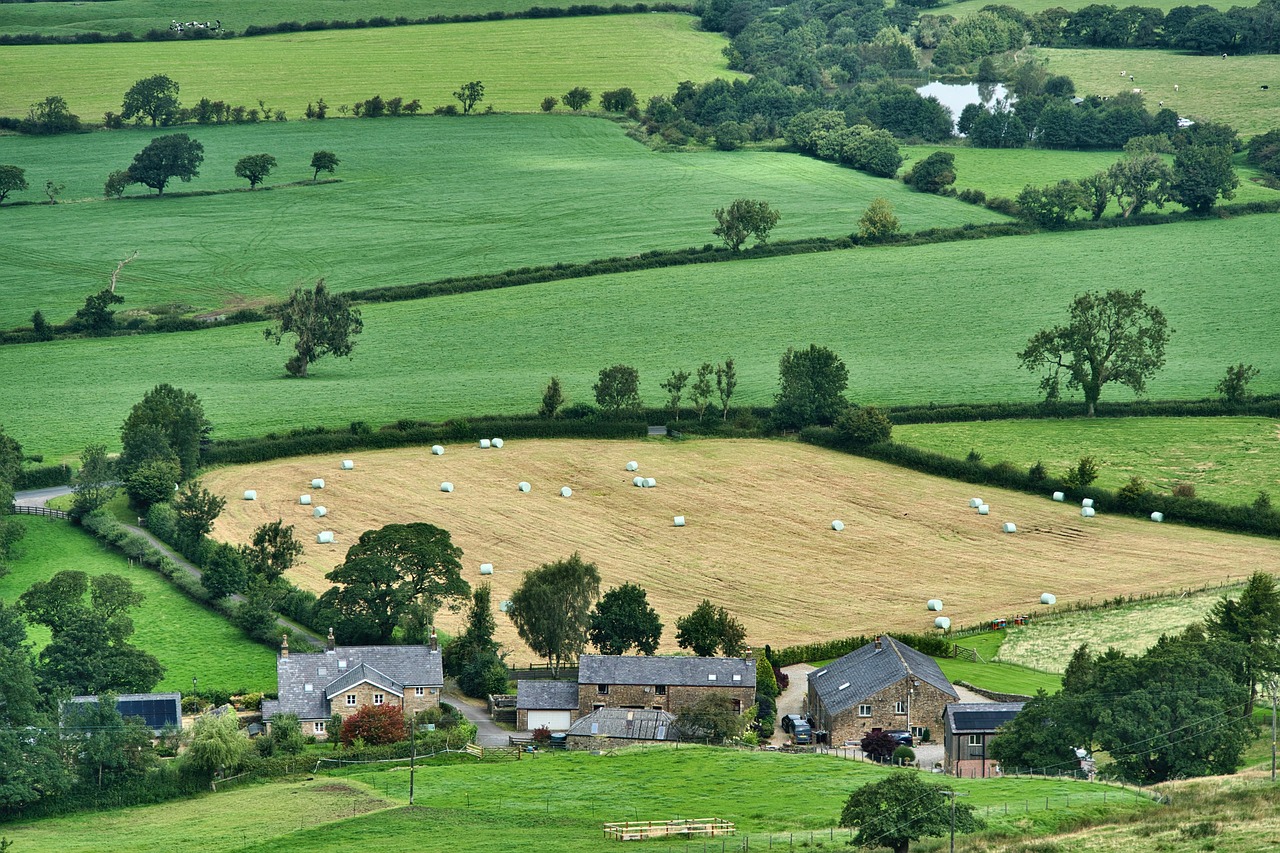 découvrez l'agriculture durable : des pratiques innovantes et respectueuses de l'environnement qui préservent les ressources naturelles, favorisent la biodiversité et garantissent une production alimentaire responsable pour les générations futures.