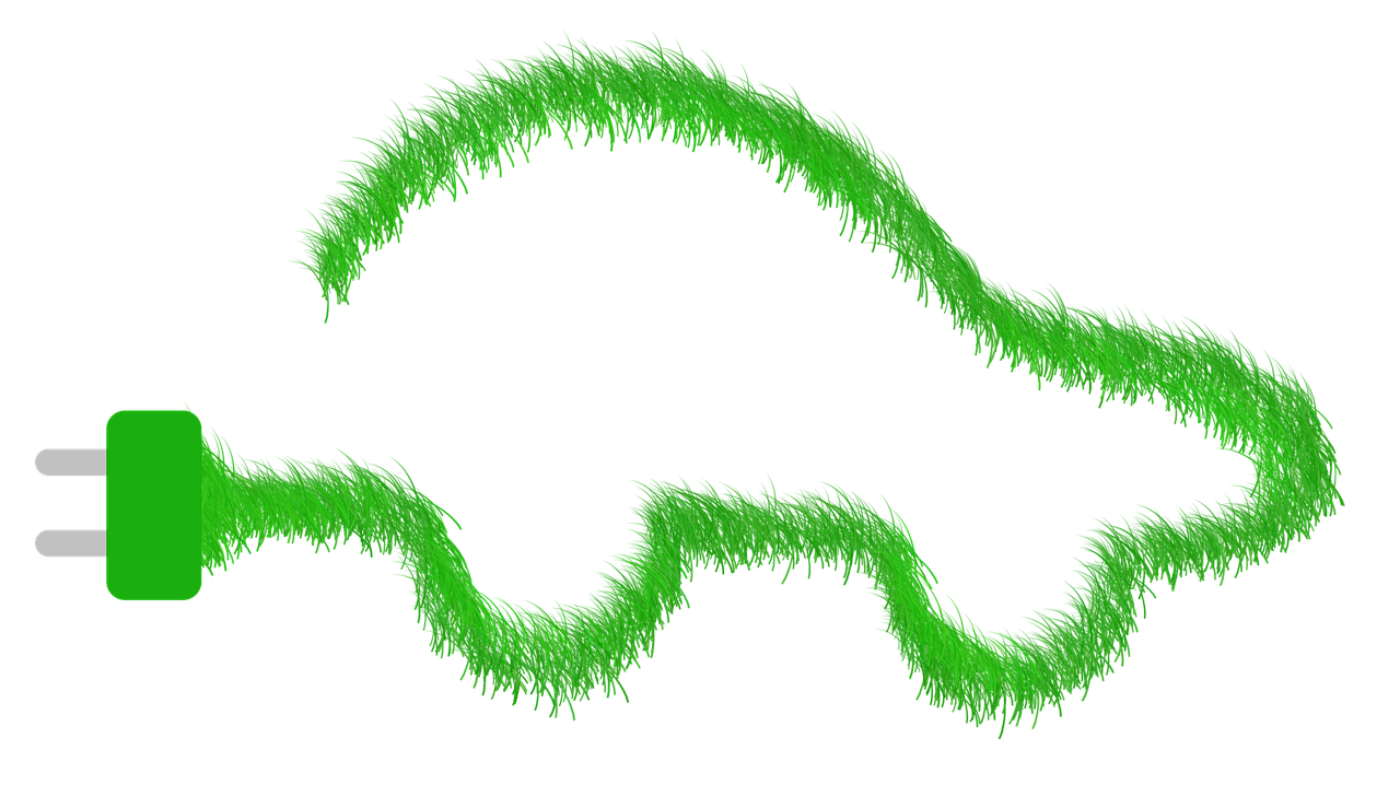 découvrez des informations écologiques essentielles pour comprendre et préserver notre environnement. explorez des ressources sur la biodiversité, les écosystèmes, et des conseils pratiques pour adopter un mode de vie durable.