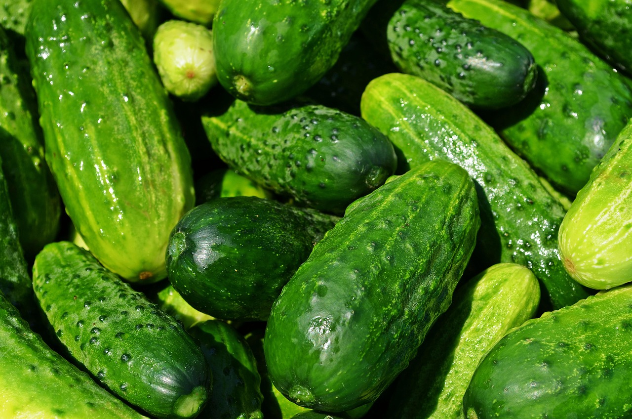 découvrez comment les éco-partenariats favorisent une collaboration durable entre entreprises pour promouvoir l'écologie, réduire l'empreinte carbone et innover ensemble vers un avenir plus vert.
