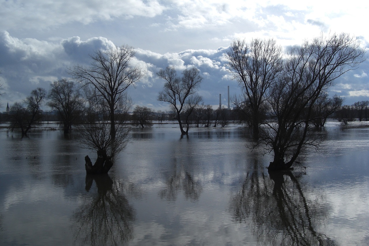 découvrez tout ce qu'il faut savoir sur le flooding : ses causes, ses conséquences et les meilleures méthodes pour s'en protéger. informez-vous sur les solutions de prévention contre les inondations.