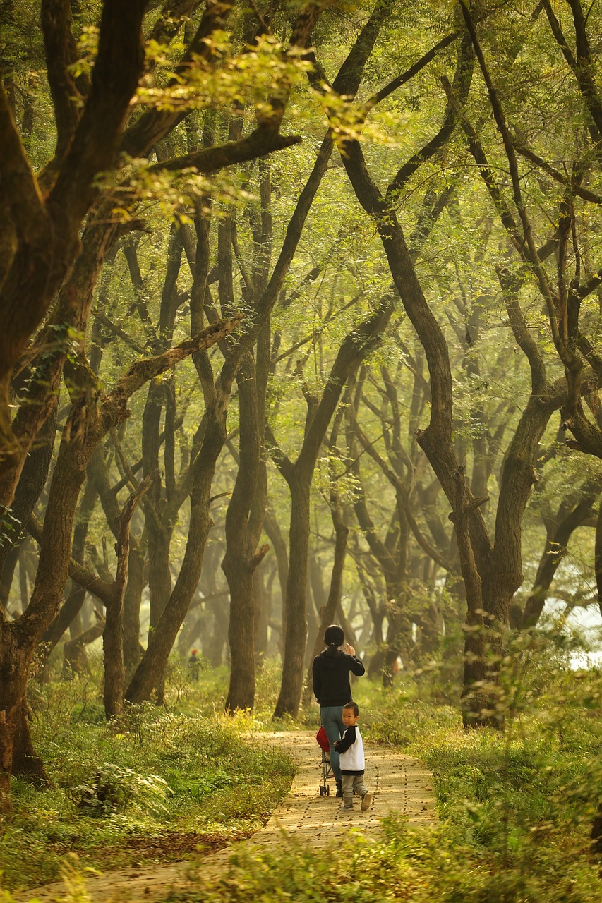 découvrez l'importance de la protection de l'environnement, les enjeux écologiques actuels, et des conseils pratiques pour adopter un mode de vie plus durable. engagez-vous pour la planète dès aujourd'hui !