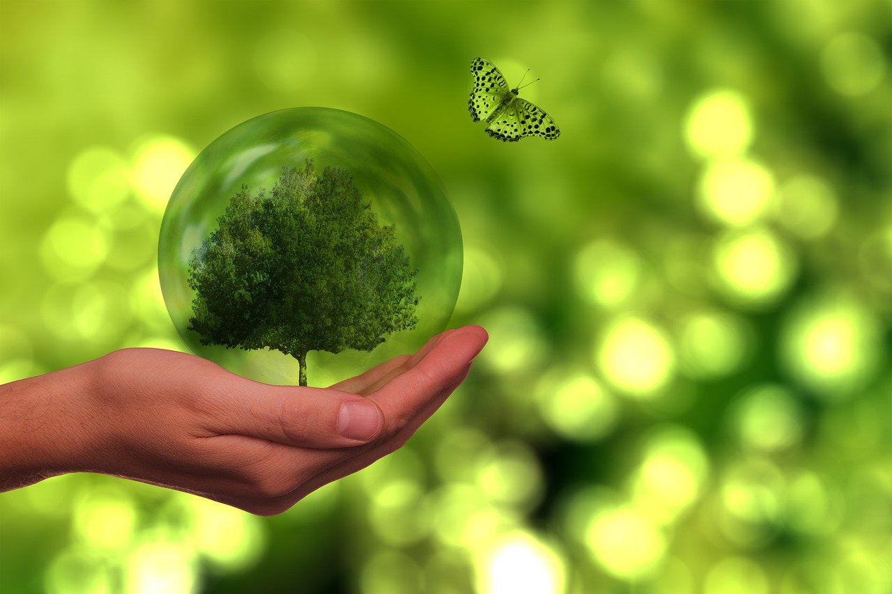 découvrez l'importance de la durabilité pour un avenir meilleur. explorez des pratiques écologiques, des innovations responsables et des solutions pour préserver notre planète tout en améliorant notre qualité de vie.