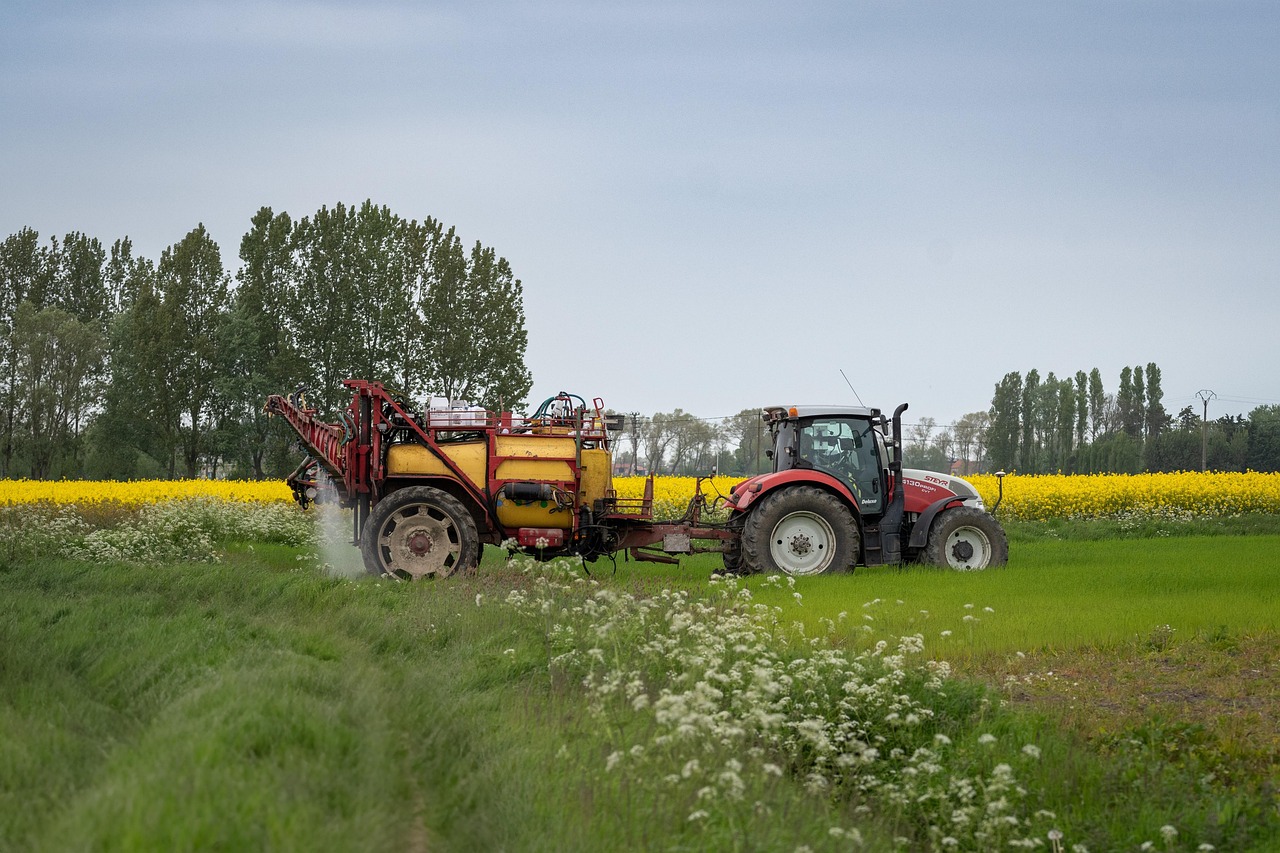 découvrez le monde fascinant de l'agriculture, ses enjeux, ses innovations et son impact sur l'environnement. apprenez-en davantage sur les pratiques durables et les nouvelles technologies qui transforment ce secteur essentiel au cœur de notre vie quotidienne.