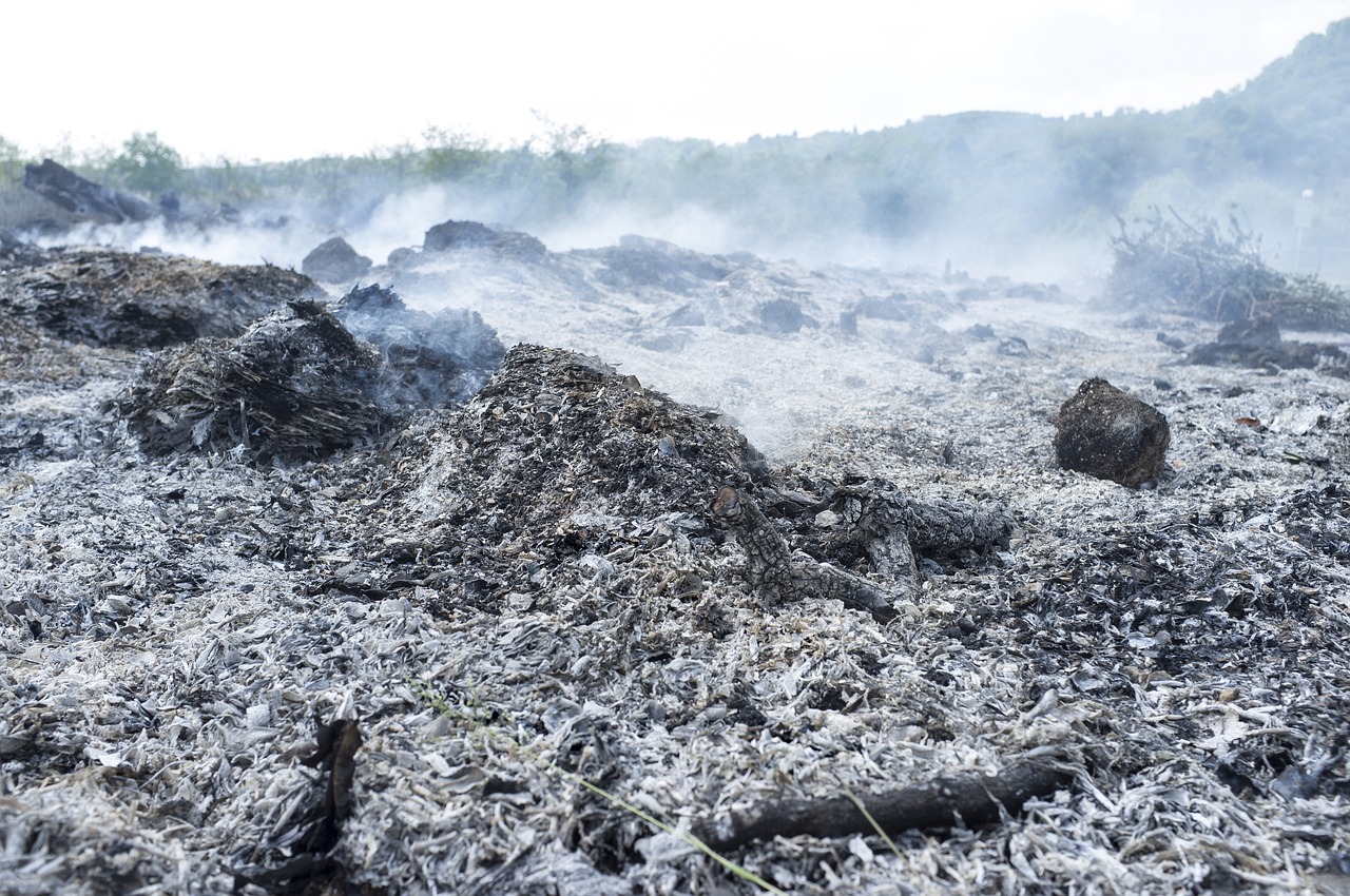 découvrez l'impact des combustibles fossiles sur notre environnement et notre économie. explorez les alternatives durables et les solutions pour un avenir énergétique plus propre.