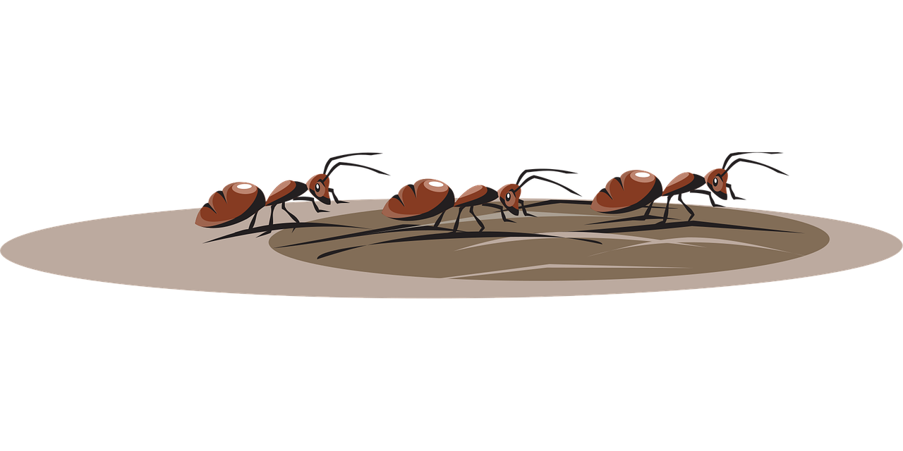 découvrez les mouvements de la terre, leurs causes et leurs impacts sur l'environnement et la vie quotidienne.